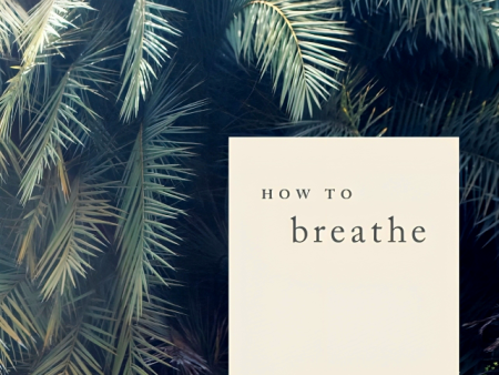 How to Breathe: 25 Simple Practices for Calm, Joy and Resilience on Sale