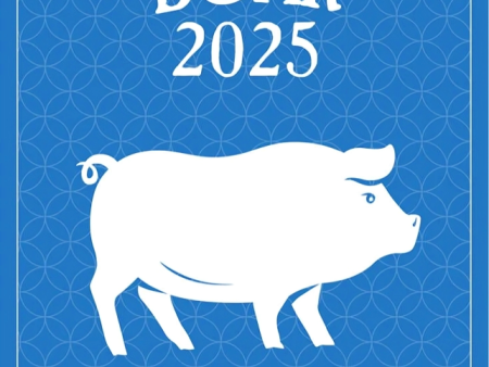 Fortune & Feng Shui 2025 - Boar Supply