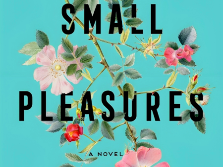 Small Pleasures: A Novel Discount