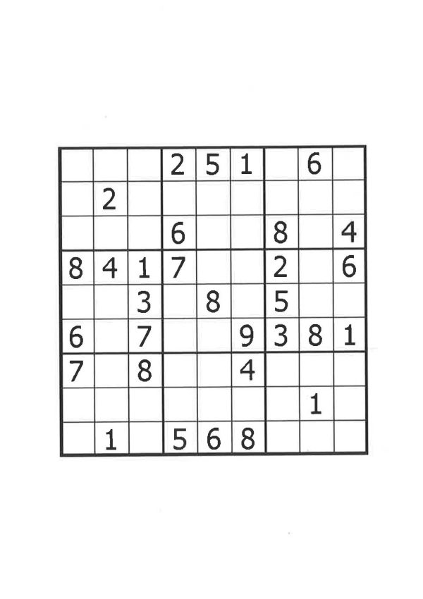 Sudoku Puzzle Book Two Cheap