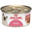 Royal Canin Feline Health Nutrition Kitten Dry Cat Food Hot on Sale