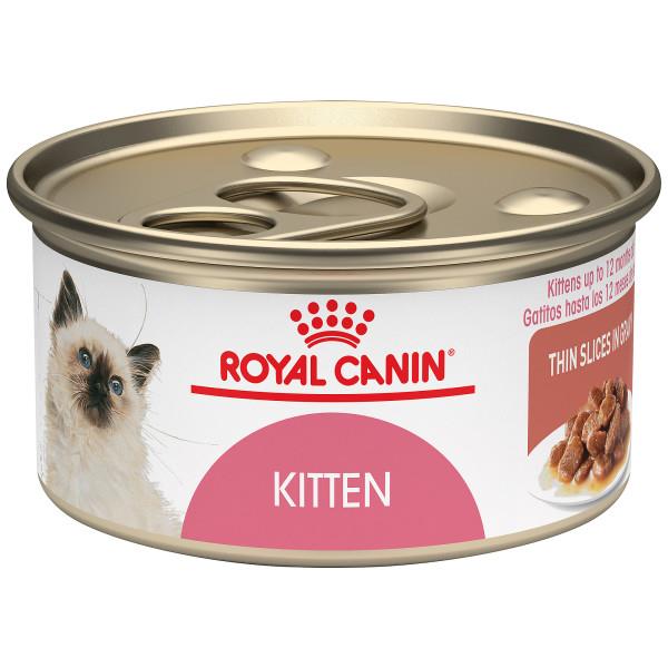 Royal Canin Feline Health Nutrition Kitten Dry Cat Food Hot on Sale