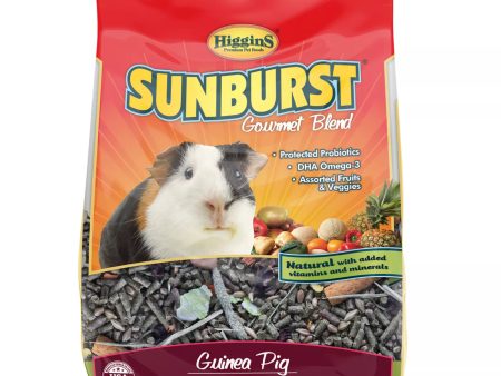 Higgins Sunburst Gourmet Guinea Pig Food For Discount