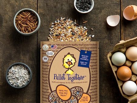 Pullet Together Organic Non-GMo Chicken Treat 5lb Online Hot Sale