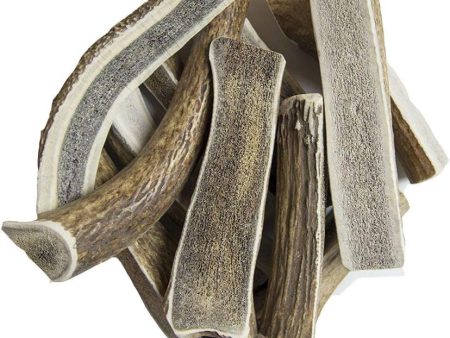 Buck Bone Organic Split Elk Antler Large Sale