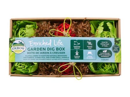 Oxbow Enriched Life Garden Dig Box Small Animal Toy Online Hot Sale