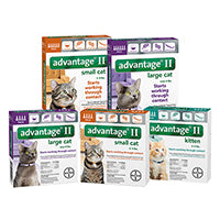 Advantage II For Cats and Kittens 4 Pack Fashion