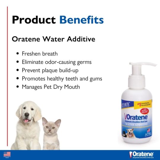 Zymox Oral Water Additive for Dogs or Cats 4 oz For Discount