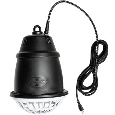 Heat Lamp without bulb Hot on Sale