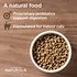 Diamond Naturals Indoor Formula Dry Cat Food Fashion