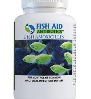 Fish Mox Amoxicillin 500mg 30ct Online