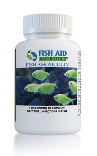 Fish Mox Amoxicillin 500mg 30ct Online