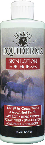 Equiderma Skin Lotion 16oz Online now