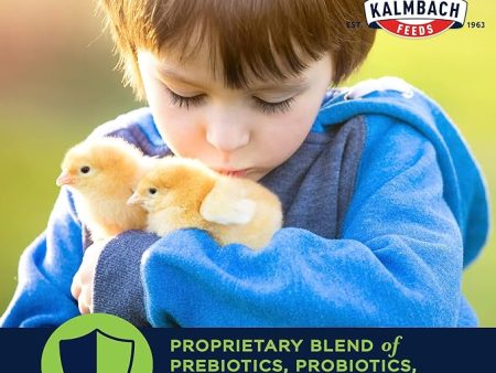 Kalmbach Feeds 18%  Start Right Medicated Chick Feed, 50-lb Bag Online Hot Sale