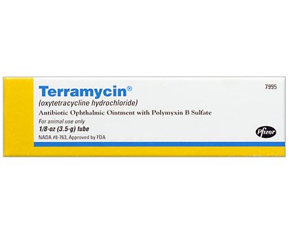 Zoetis Terramycin Ophthalmic Ointment for Dogs, Cats & Horses, 3.5-g Discount