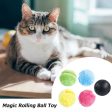 Interactive Magic Roller Ball Online Hot Sale