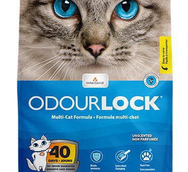 Intersand Odorlock Unscented Cat Litter, 25-lb Online Sale