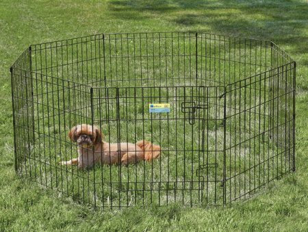 Midwest Contour Exercise Pen Black 24  with Door Online