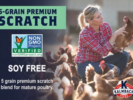 Kalmbach Non-Gmo Soy Free Scratch Grain Chicken Feed 50lb on Sale