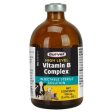 HIGH LEVEL VITAMIN B COMPLEX - 100 ML Online