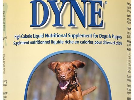 PetAg Dyne High Calorie Liquid Dog Supplement Online