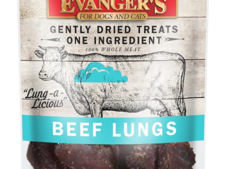 Evanger s Nothing but Natural Beef Lungs Raw Gently Dried Dog & Cat Treats, 2-oz Online now