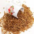 Happy Hen Treats Mealworm Frenzy, 5-lb Online Hot Sale