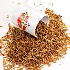 Happy Hen Treats Mealworm Frenzy, 5-lb Online Hot Sale