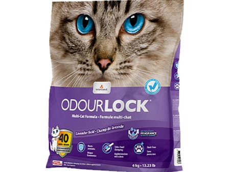 Intersand Odorlock Lavender Scented Cat Litter on Sale