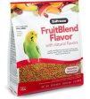 ZuPreem FruitBlend with Natural Fruit Flavors Small Bird Food on Sale