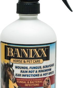 Banixx Anti-Fungal & Anti-Bacterial Spray Shampoo, Multi Sizes Cheap