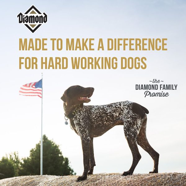 Diamond Performance Formula Adult Dry Dog Food Discount