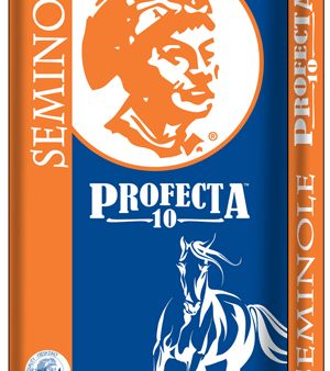 Seminole Profecta 10 Equine Horse Feed For Cheap