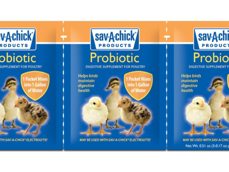 Sav-A-Chick Products Probiotics 3 pack Online Hot Sale