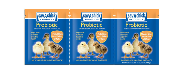 Sav-A-Chick Products Probiotics 3 pack Online Hot Sale