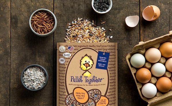 Pullet Together Organic Non-GMo Chicken Treat 1lb 13oz Online now