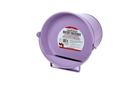 Little Giant Galv. Waterer Bucket for Poultry 2 gallon For Cheap