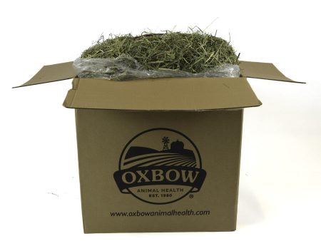 Oxbow Animal Health Orchard Grass Hay 50# Online